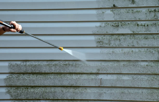 Best Sidewalk and Walkway Pressure Cleaning in Caledonia, MS